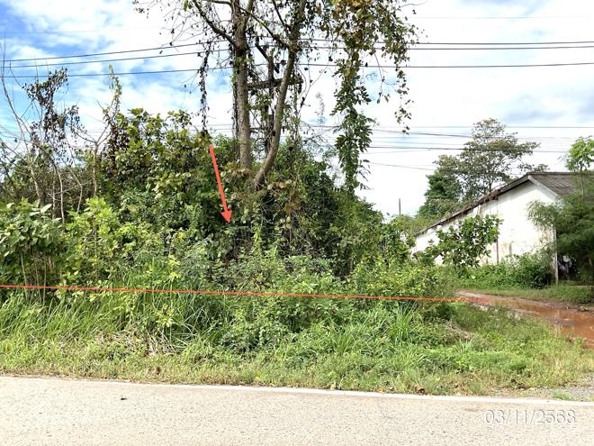 รูป บ้านพักคนงาน 1200 ตร.วา กบินทร์บุรี ปราจีนบุรี 6.1M - รูปที่ 13/30