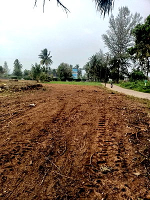 Land for sale Phangnga : LAND 9641.8 Sq.w. Takua Pa Phangnga for 76.2M