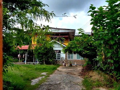 ที่ดิน กาฬสินธุ์ : ที่ดินพร้อมสิ่งปลูกสร้าง 200 ตร.วา อำเภอเมืองกาฬสินธุ์ กาฬสินธุ์ 6.3M