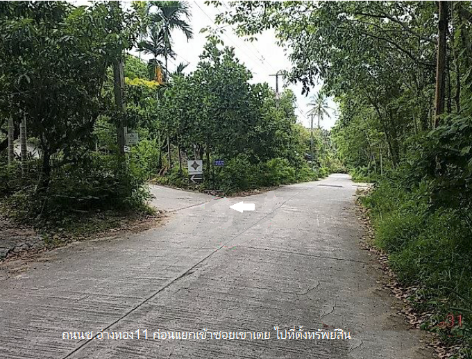 picture PROPERTY 11778.5 Sq.w. Ko Samui Surat Thani for 83M - 5/12