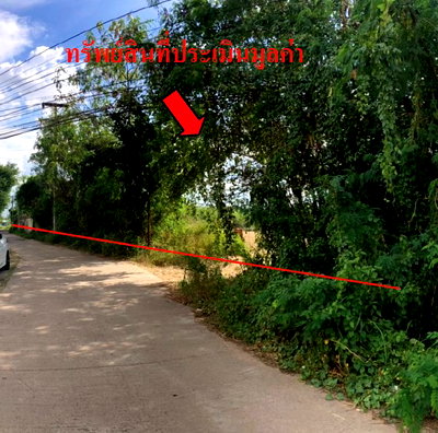 Land for sale Muang Ya Sothon Yasothon : LAND 8772 Sq.w. Muang Ya Sothon Yasothon Price on request
