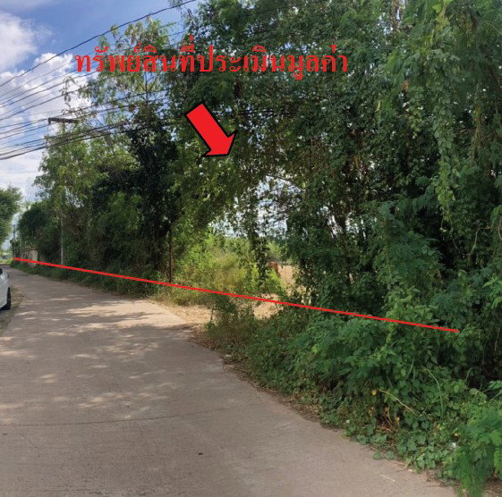 picture LAND 8772 Sq.w. Muang Ya Sothon Yasothon Price on request - 1/11