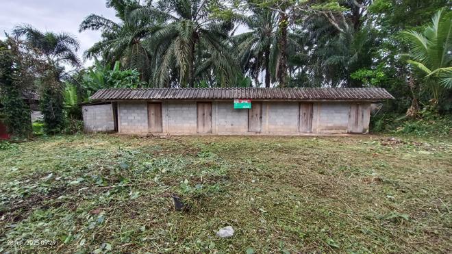 รูป บ้านเดี่ยว 344 ตร.วา ชัยบุรี สุราษฎร์ธานี 597,000 - รูปที่ 6/36