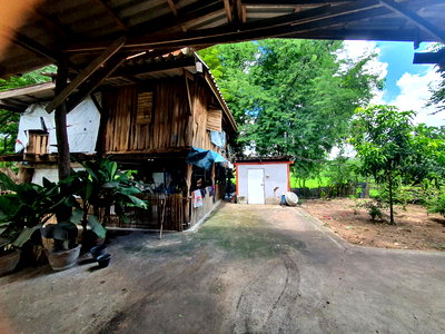 Land for sale Muang Ya Sothon Yasothon : LAND 794 Sq.w. Muang Ya Sothon Yasothon for 3.6M