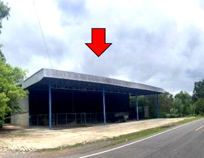 ที่ดิน อุบลราชธานี : ที่ดินพร้อมสิ่งปลูกสร้าง 400 ตร.วา อำเภอศรีเมืองใหม่ อุบลราชธานี 3.2M