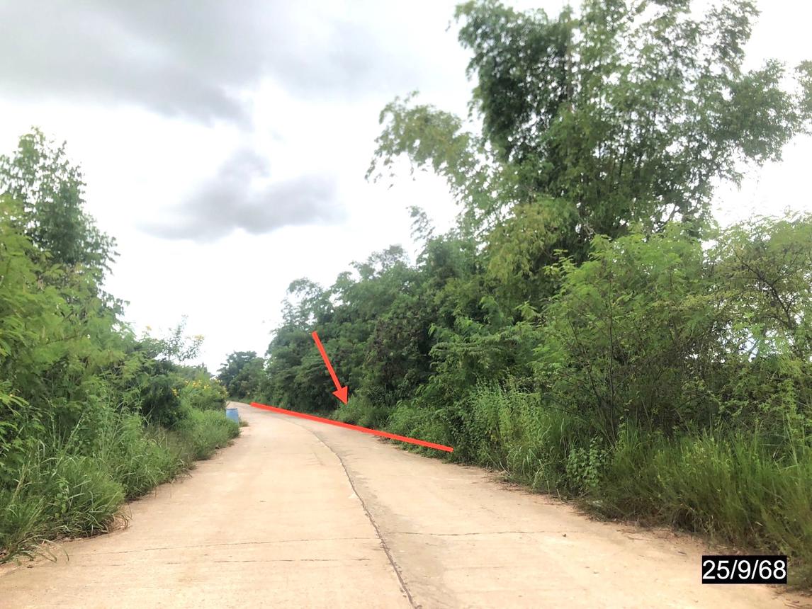 รูป อาคารพาณิชย์ 1598 ตร.วา หนองกุงศรี กาฬสินธุ์ 4.4M - รูปที่ 12/16