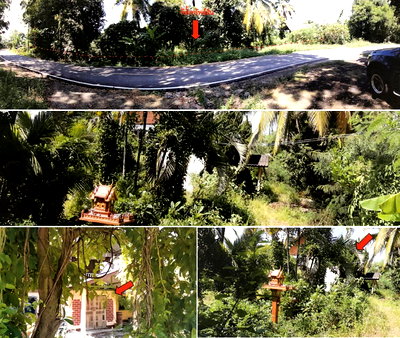 ที่ดิน ลำพูน : ที่ดินพร้อมสิ่งปลูกสร้าง 556 ตร.วา อำเภอเมืองลำพูน ลำพูน 842,000