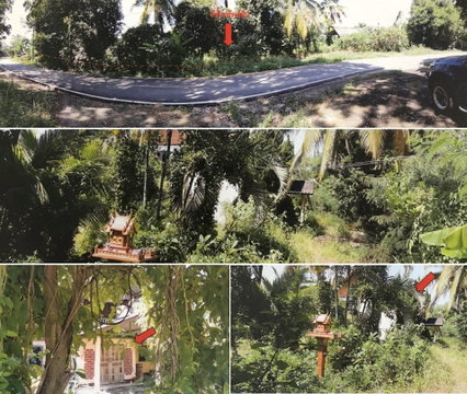 ที่ดินพร้อมสิ่งปลูกสร้าง 556 ตร.วา อำเภอเมืองลำพูน ลำพูน 842,000