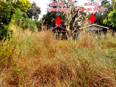 Land for sale : LAND 345 Sq.w. Nongkai for 2.8M