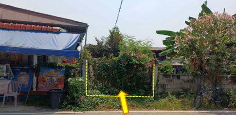 ที่ดินพร้อมสิ่งปลูกสร้าง 76 ตร.วา อำเภอดอกคำใต้ จังหวัดพะเยา 408,000