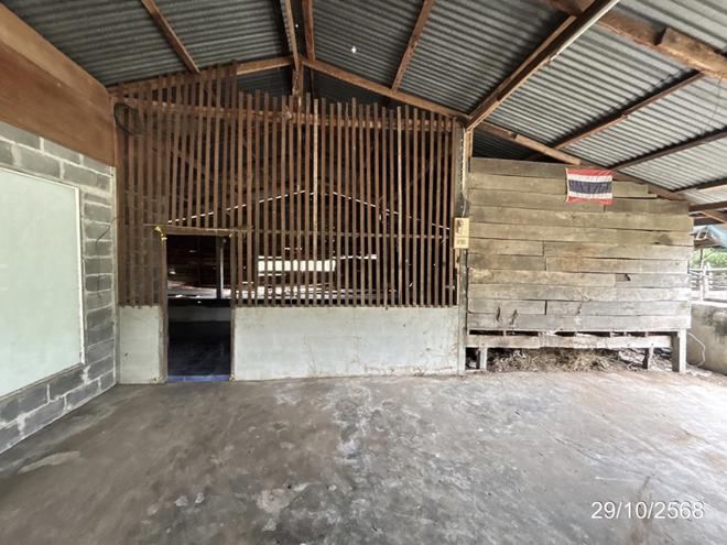 รูป บ้านเดี่ยว 1140 ตร.วา ชุมพลบุรี สุรินทร์ 1.8M - รูปที่ 12/34