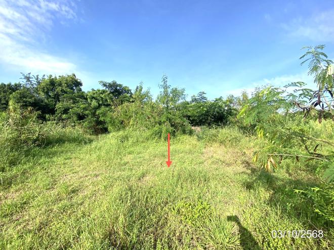 รูป บ้านเดี่ยว 900 ตร.วา เมืองขอนแก่น ขอนแก่น 2.3M - รูปที่ 3/12
