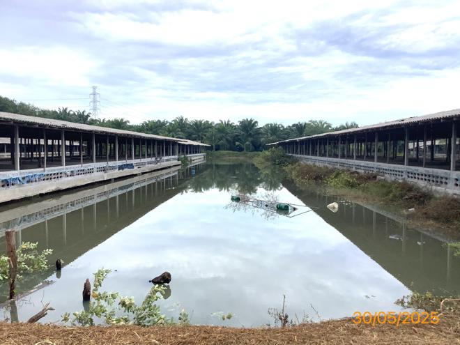 picture LAND 3649 Sq.w. Chalermphrakiet Nakhon Sri Thammarat for 9.9M - 16/38