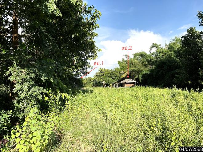 picture HOME 1049 Sq.w. Yang Talat Kalasin for 1.4M - 5/24