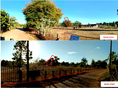 Land for sale Nakhon Phanom : LAND 11053 Sq.w. Na Wa Nakhon Phanom Price on request