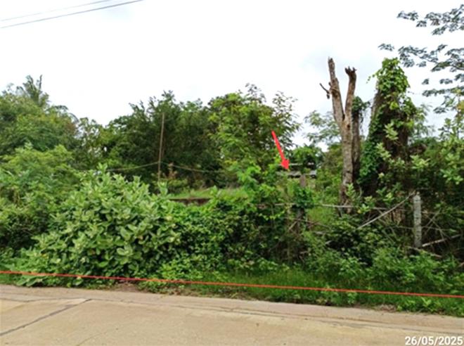 รูป บ้านเดี่ยว 100 ตร.วา ประทาย นครราชสีมา 353,000 - รูปที่ 3/18