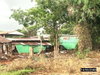listing thumbnail image 21