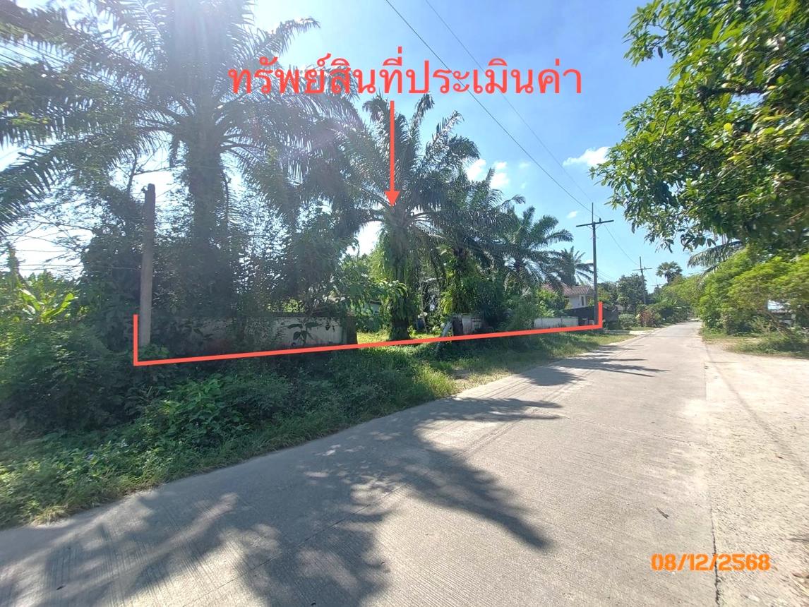 picture HOME 1000 Sq.w. Prasaeng Surat Thani for 1.8M - 28/32
