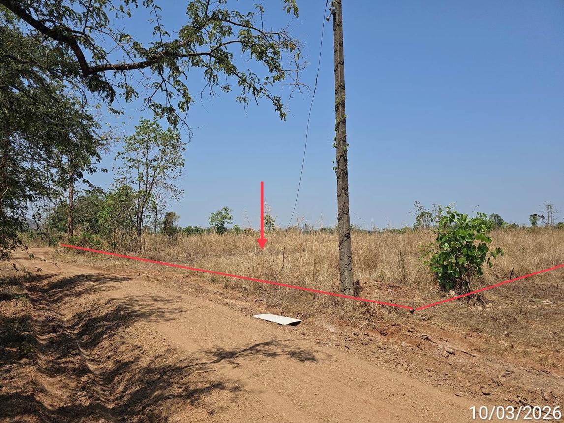 รูป ที่ดินว่างเปล่า 1811 ตร.วา ชนแดน เพชรบูรณ์ 1.4M - รูปที่ 7/16