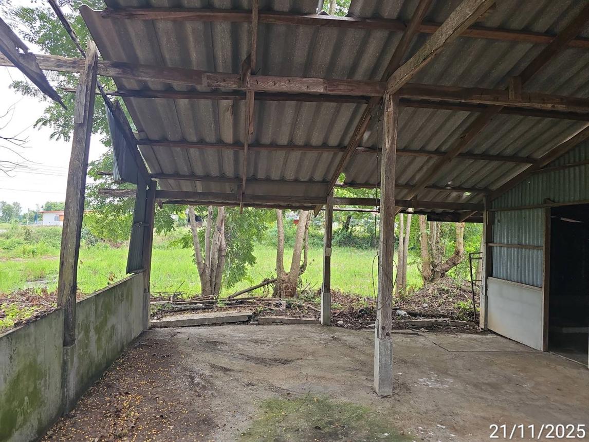 รูป บ้านเดี่ยว 247 ตร.วา ดงเจริญ พิจิตร 403,000 - รูปที่ 36/42