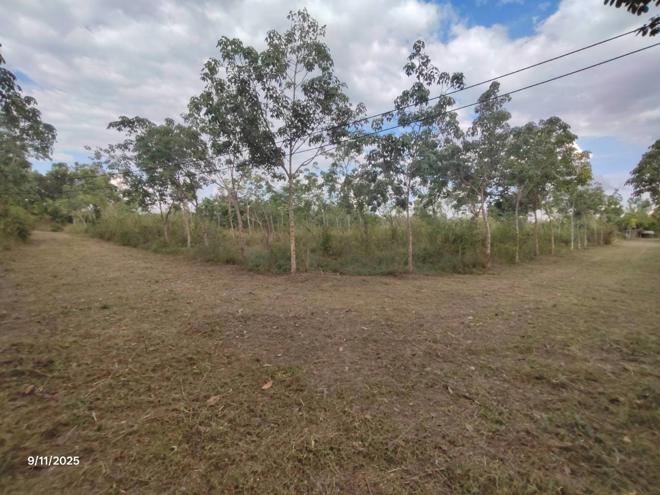 รูป บ้านเดี่ยว 23335 ตร.วา เมืองอุดรธานี อุดรธานี 9.5M - รูปที่ 12/30