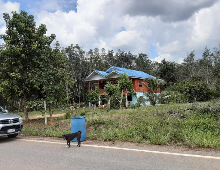 picture LAND 241.6 Sq.w. Sadao Songkhla for 1.3M - 2/4
