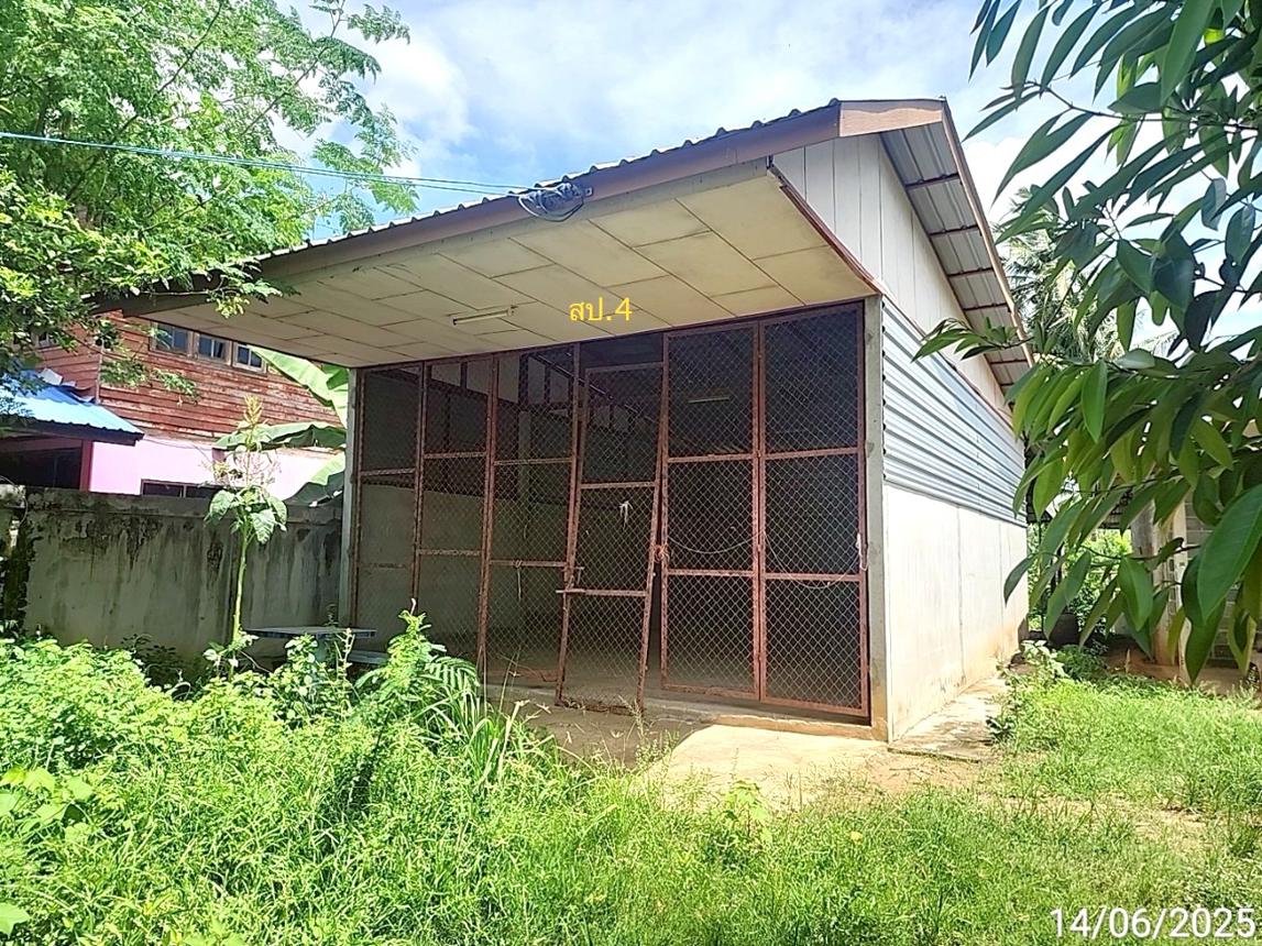 picture HOME 295 Sq.w. Chiang Khwan Roi Et for 1.5M - 21/28