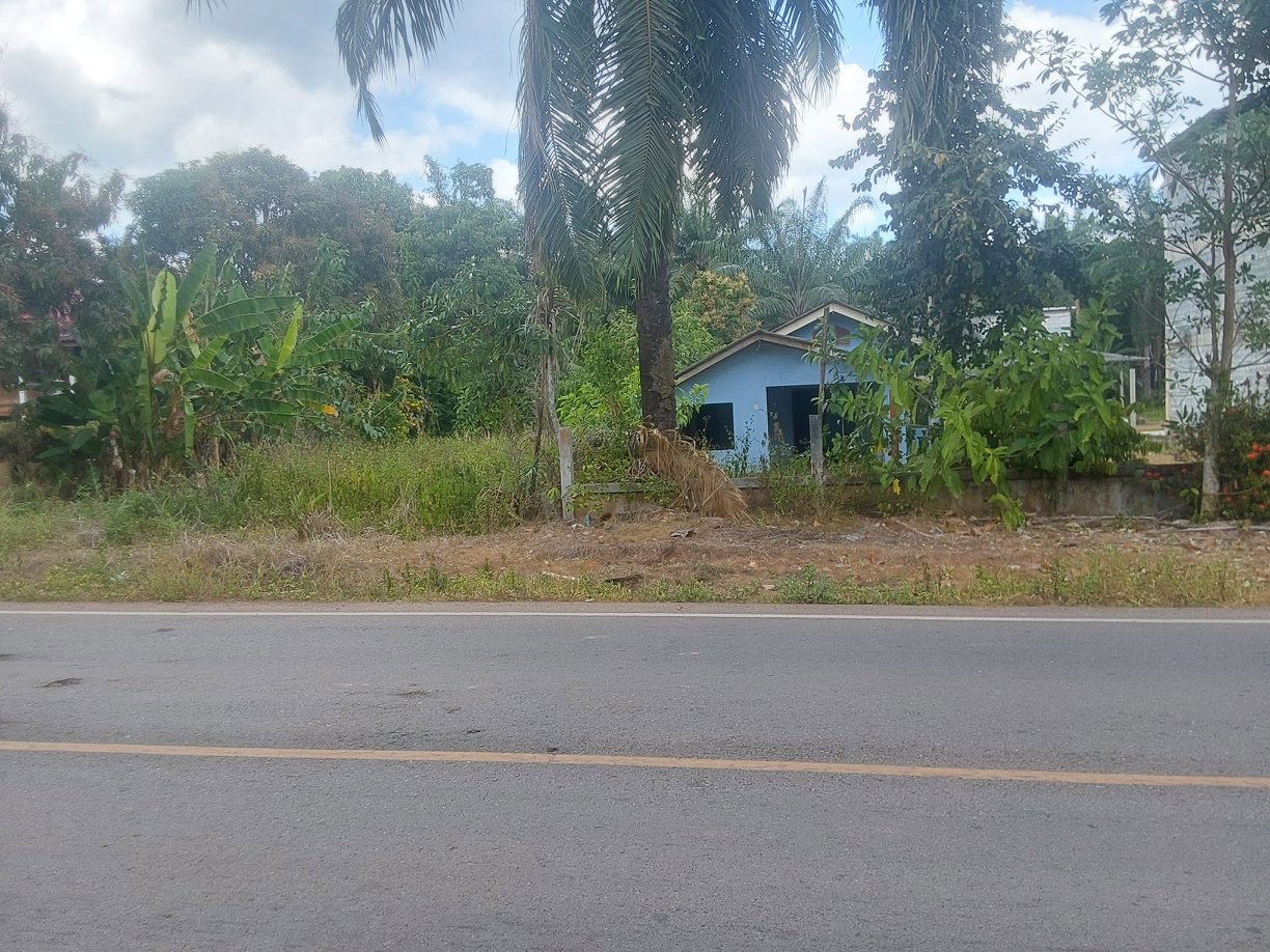 picture LAND 115 Sq.w. Khao Phanom Krabi for 781,000 - 3/6