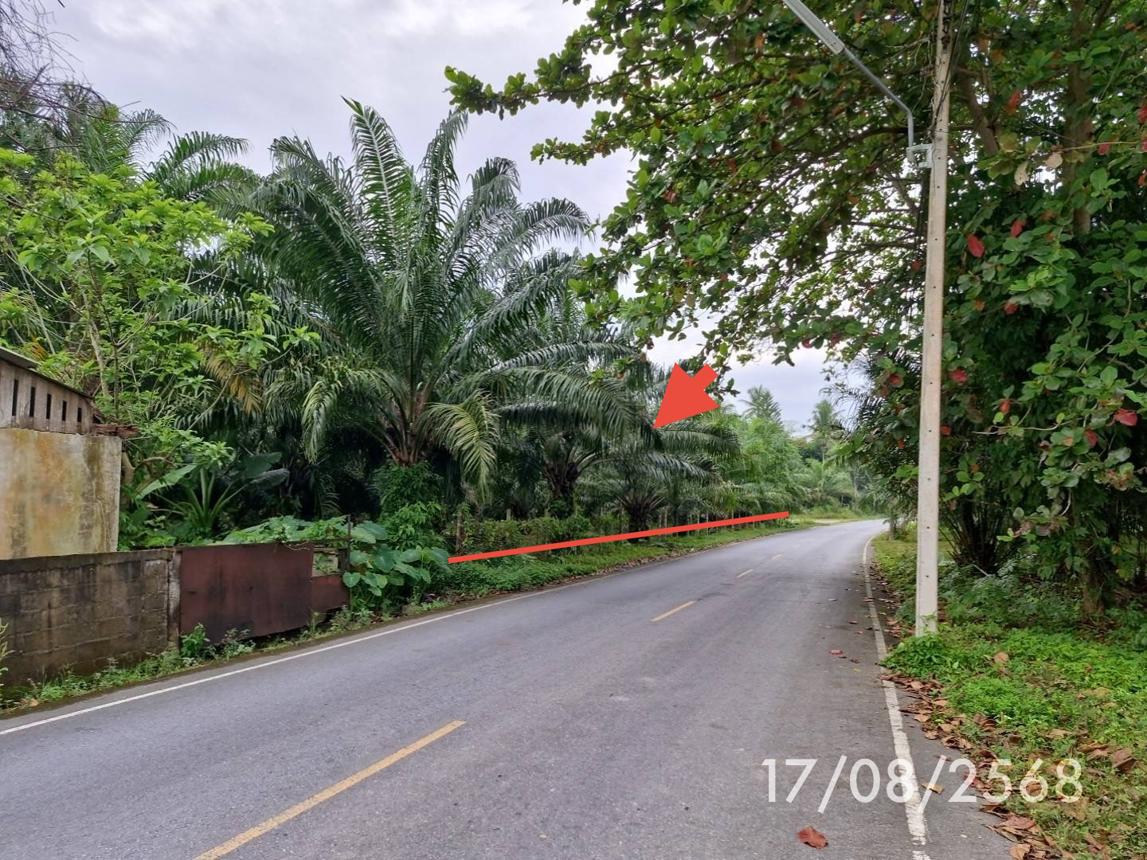 รูป บ้านเดี่ยว 1074 ตร.วา ฉวาง นครศรีธรรมราช 14.8M - รูปที่ 20/24