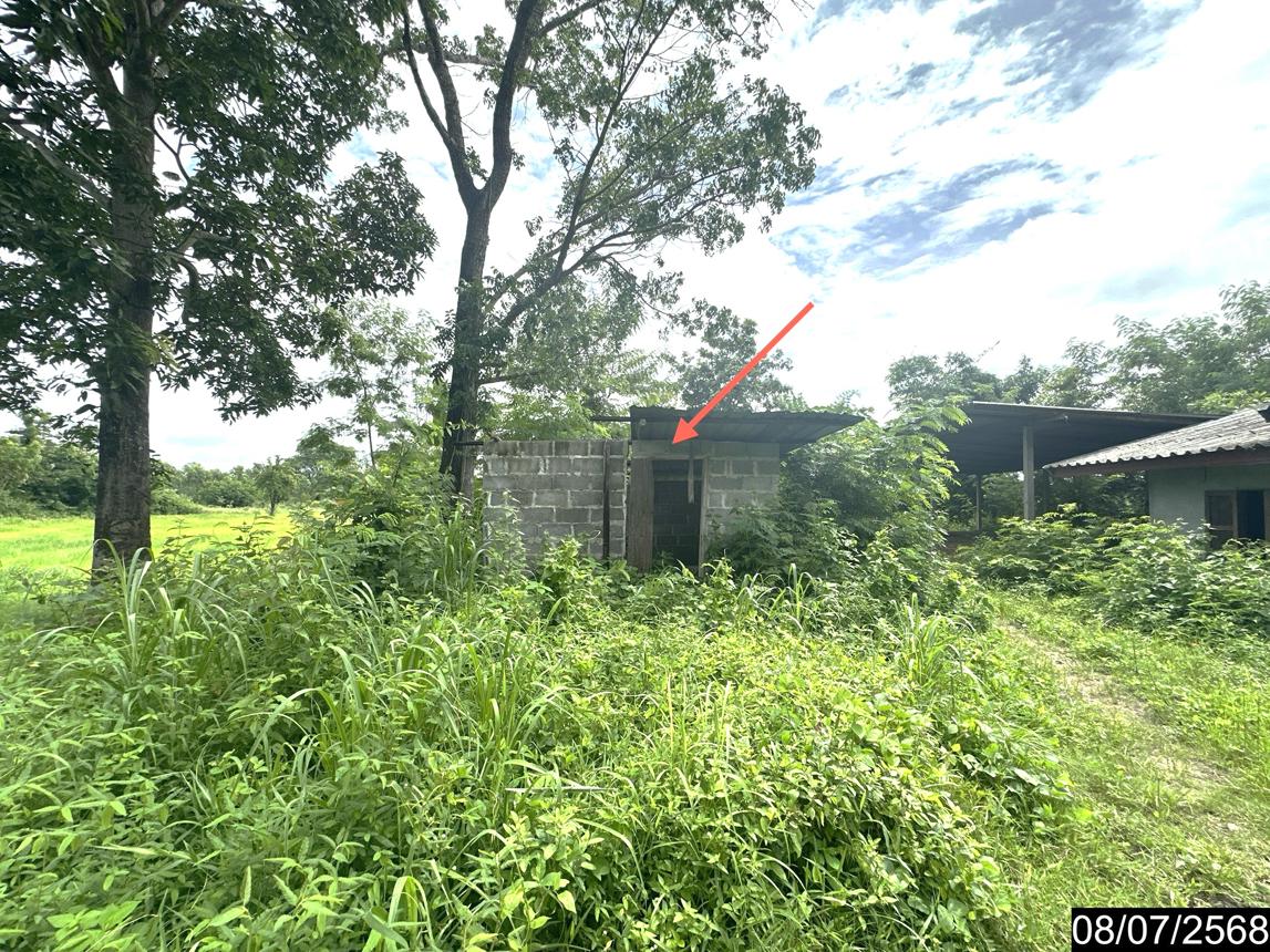 รูป บ้านเดี่ยว 10506.7 ตร.วา เดชอุดม อุบลราชธานี 2.3M - รูปที่ 16/26