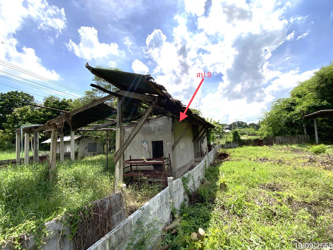 picture LAND 3345 Sq.w. Tha Wung Lopburi for 9.3M - 43/50