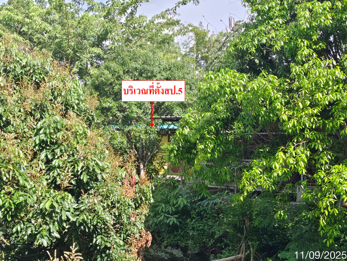รูป บ้านเดี่ยว 11470 ตร.วา สอยดาว จันทบุรี 11.1M - รูปที่ 21/36