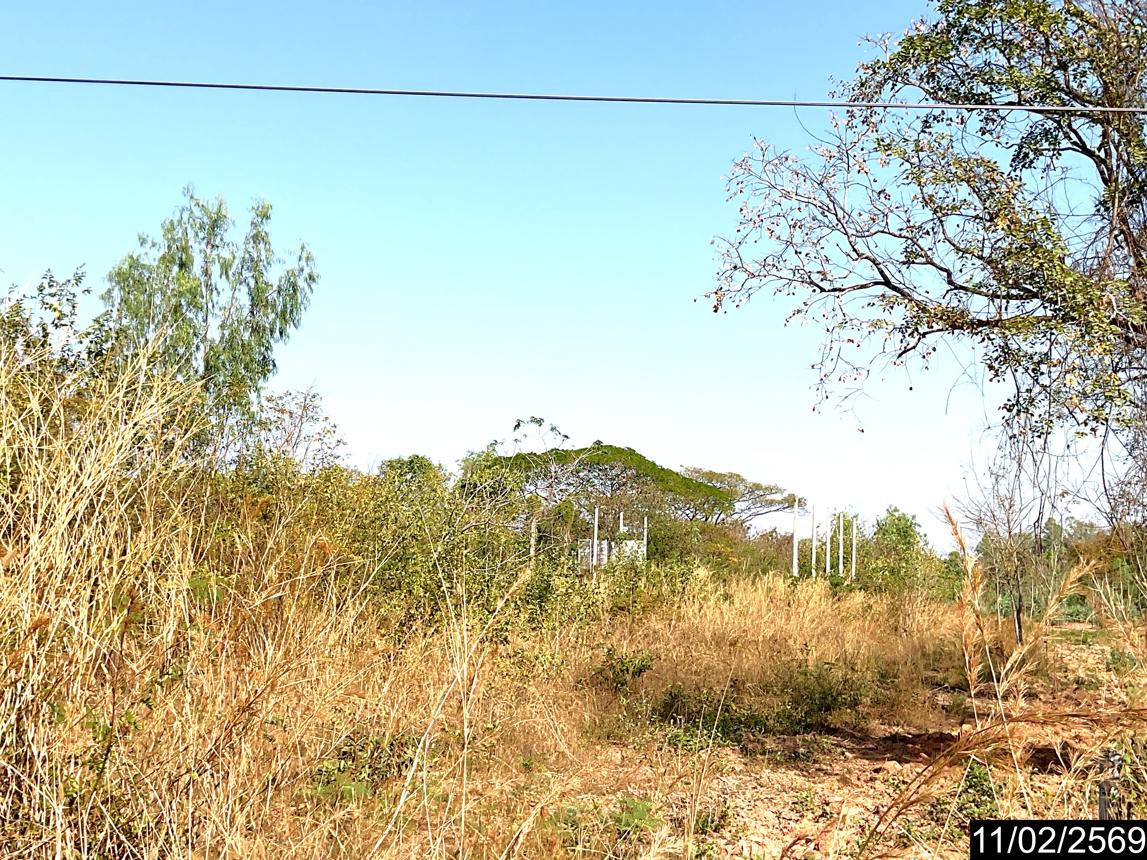 picture FACTORY 3973 Sq.w. Phen Udon Thani for 9.9M - 9/14