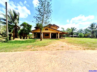 บ้านเดี่ยว ตรัง : บ้านเดี่ยว 92.3 ตร.วา วังวิเศษ ตรัง 2.5M