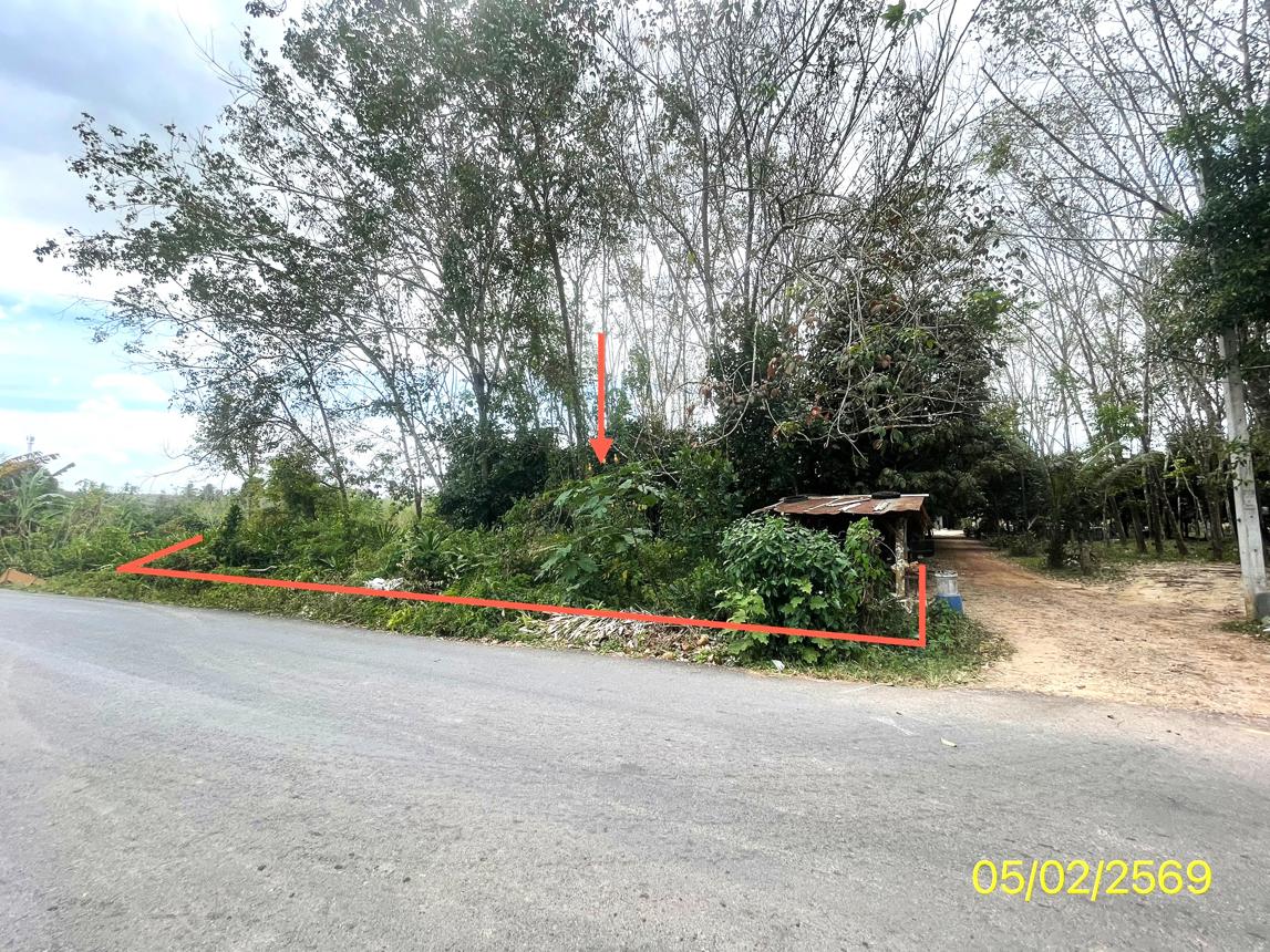 picture LAND 310 Sq.w. Hat Yai Songkhla for 1.1M - 10/22