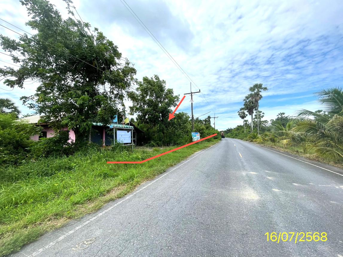 รูป บ้านเดี่ยว 461 ตร.วา ระโนด สงขลา 521,000 - รูปที่ 6/10