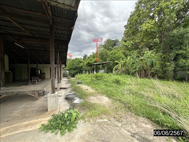 picture HOME 810 Sq.w. Na Dun Maha Sarakham for 2.7M - 4/22