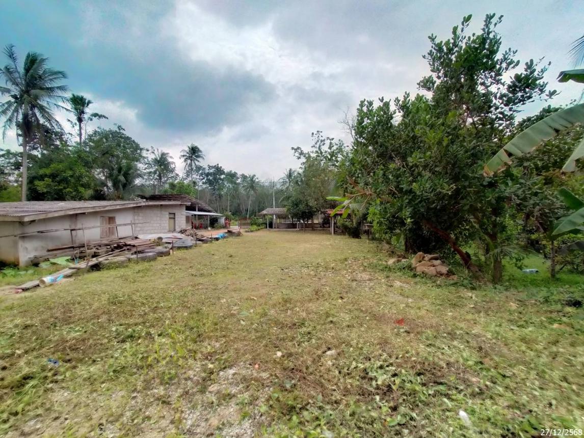 รูป เพิงอเนกประสงค์ 262 ตร.วา จะนะ สงขลา 1.1M - รูปที่ 20/24