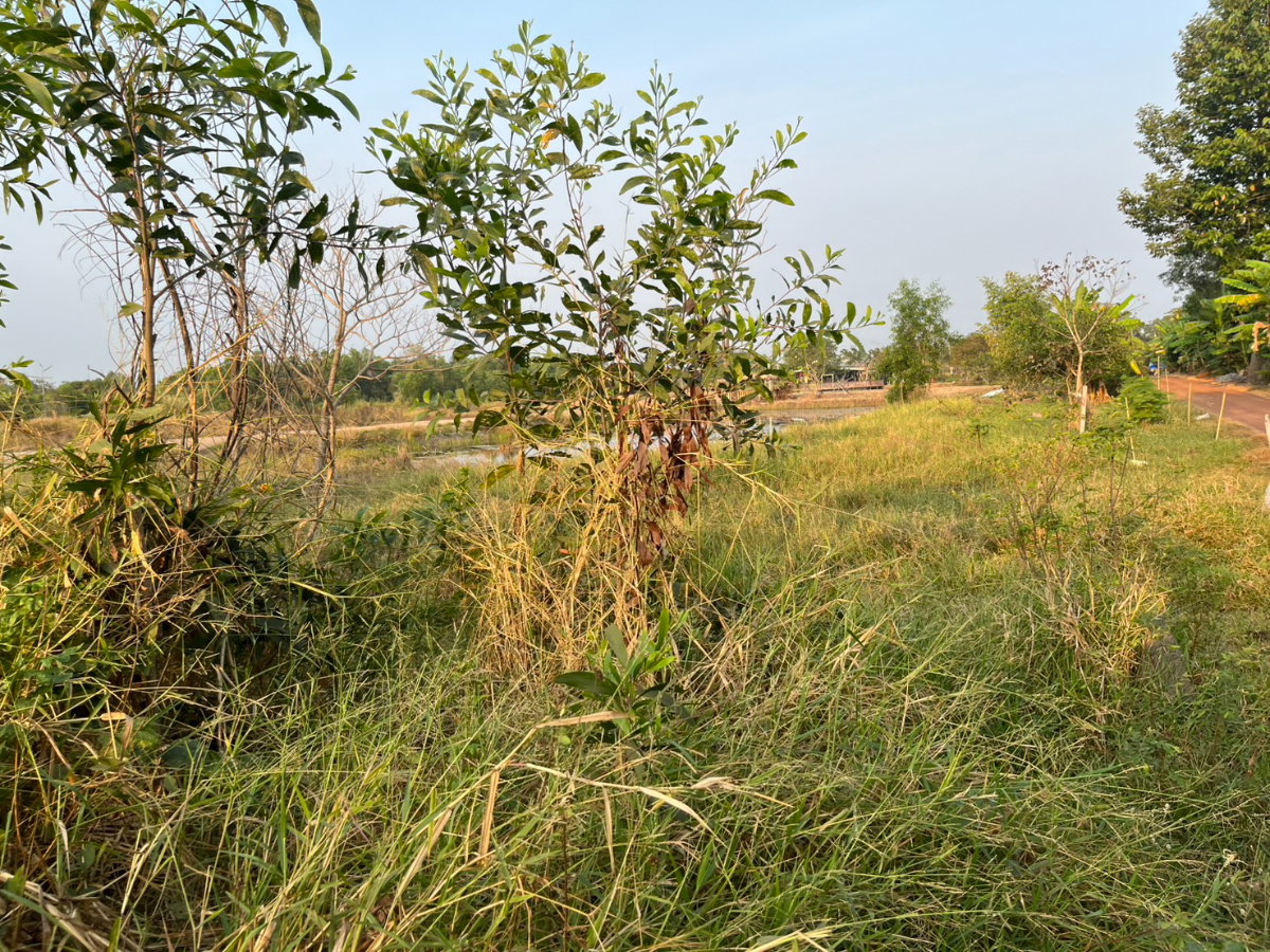 รูป ขายที่ดิน 1 ไร่ มีโฉนด ต.ดอนยอ อ.เมืองนครนายก ขายพร้อมโอน 650,000 บาท - รูปที่ 2/17