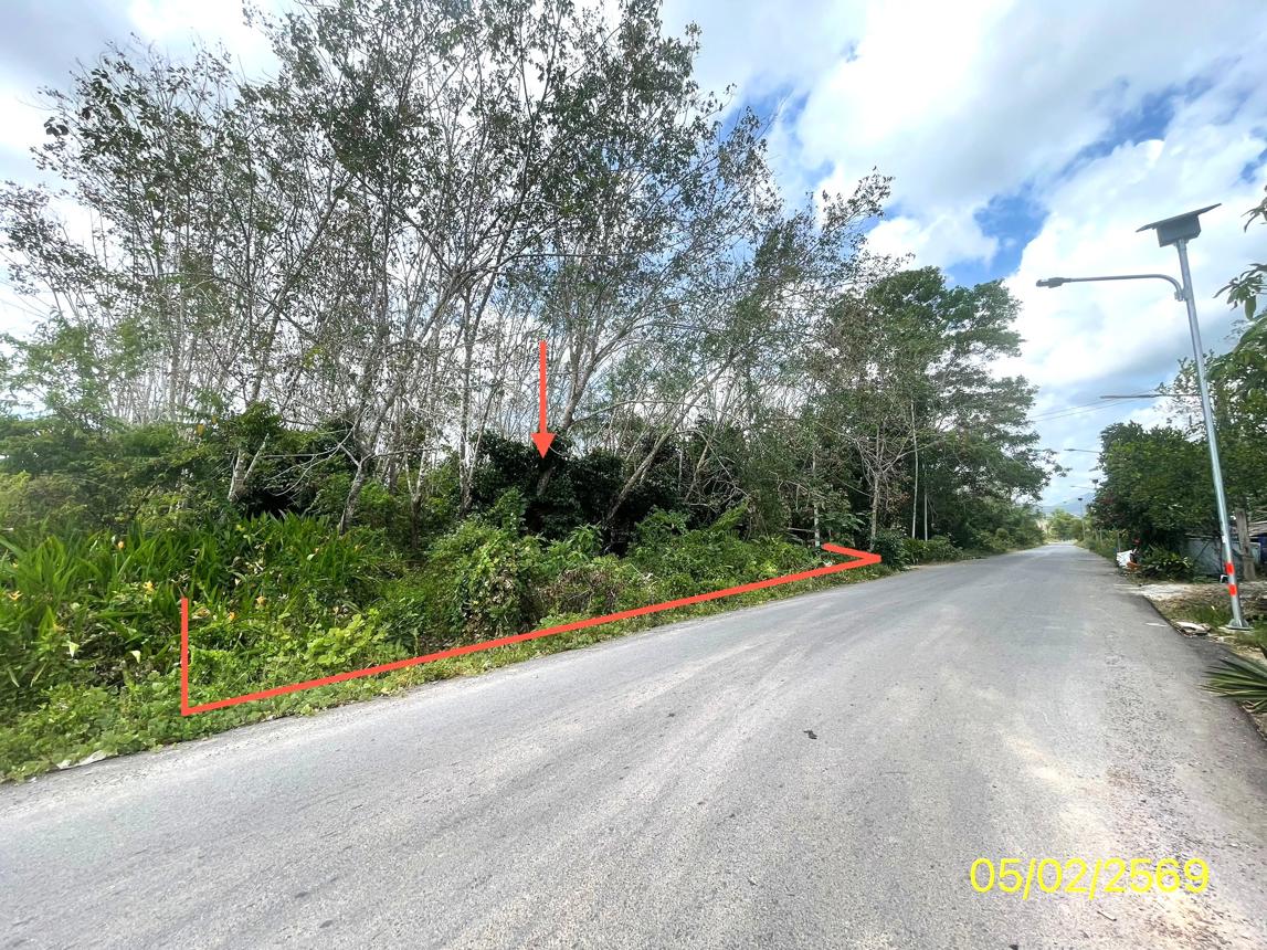 picture LAND 310 Sq.w. Hat Yai Songkhla for 1.1M - 11/22