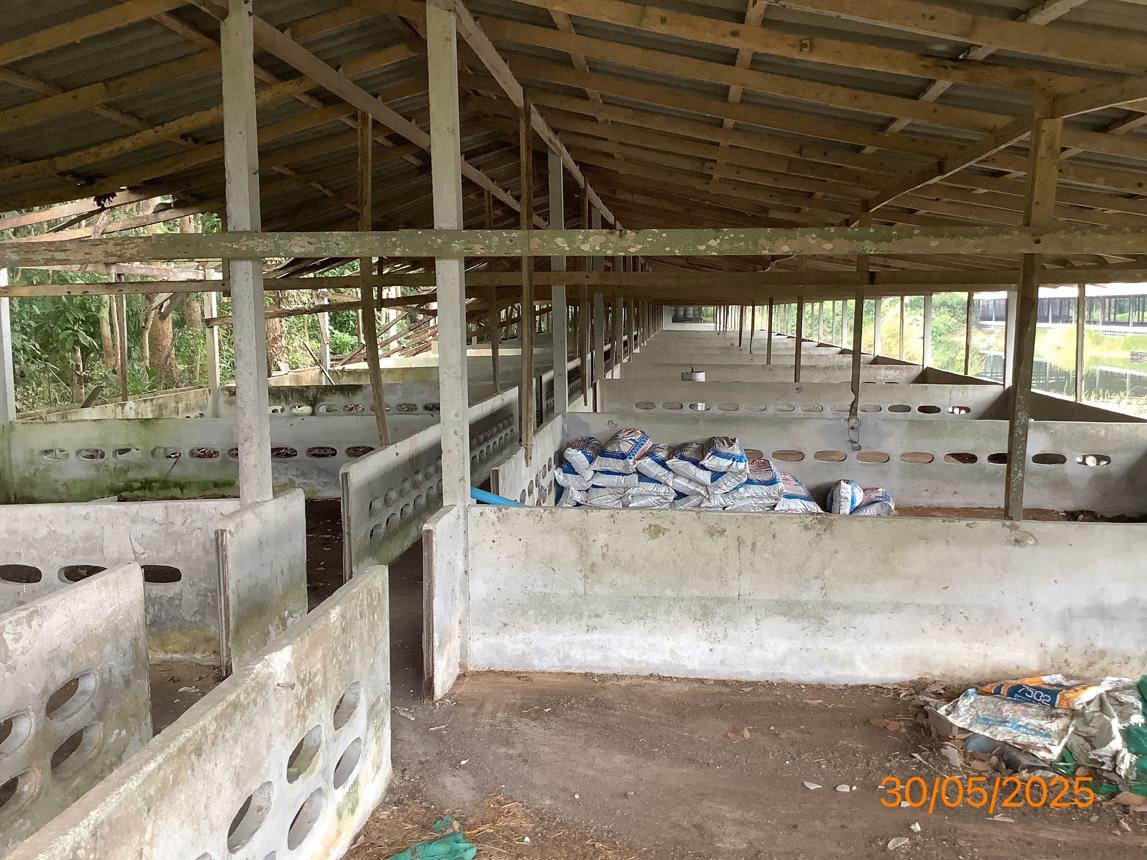 picture LAND 3649 Sq.w. Chalermphrakiet Nakhon Sri Thammarat for 9.9M - 21/38