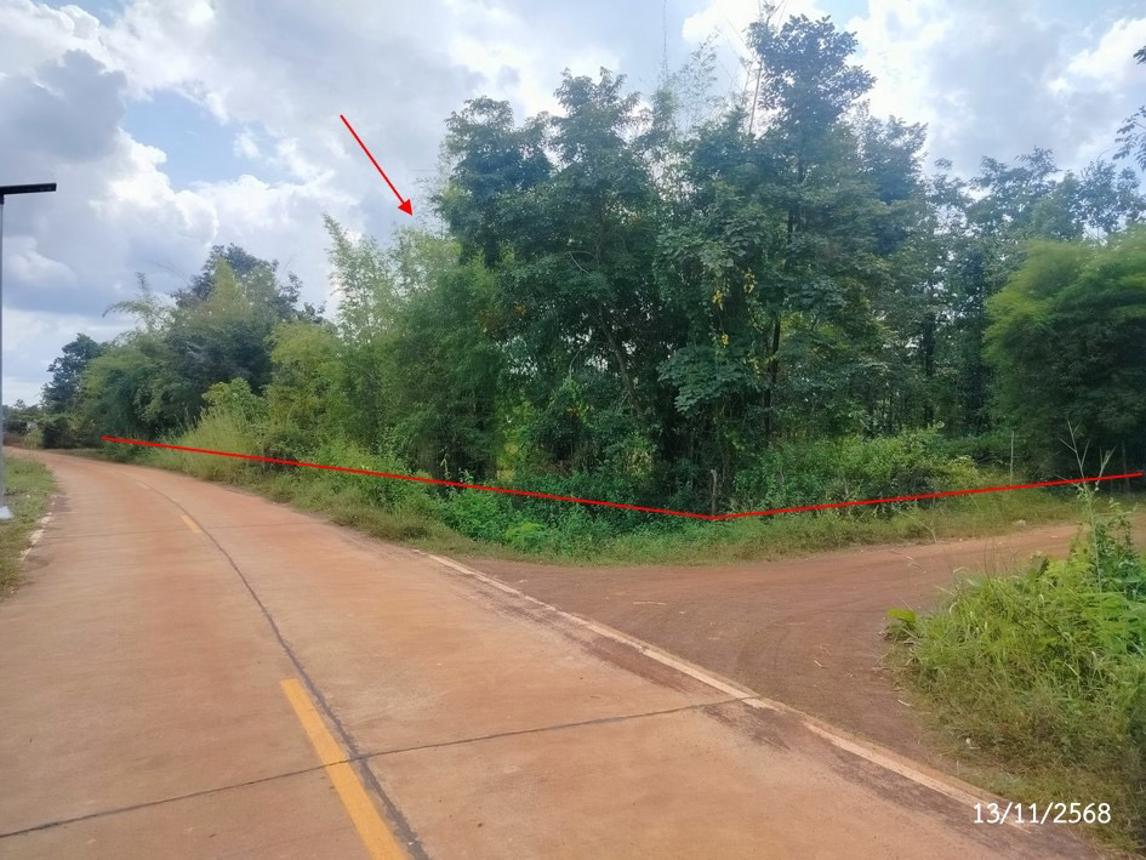 picture FACTORY 1756 Sq.w. Wanon Niwat Sakon Nakhon for 2M - 15/20