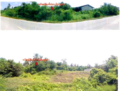 Land for sale Nakhon Sawan : LAND 2240 Sq.w. Banphot Phisai Nakhon Sawan for 2.6M