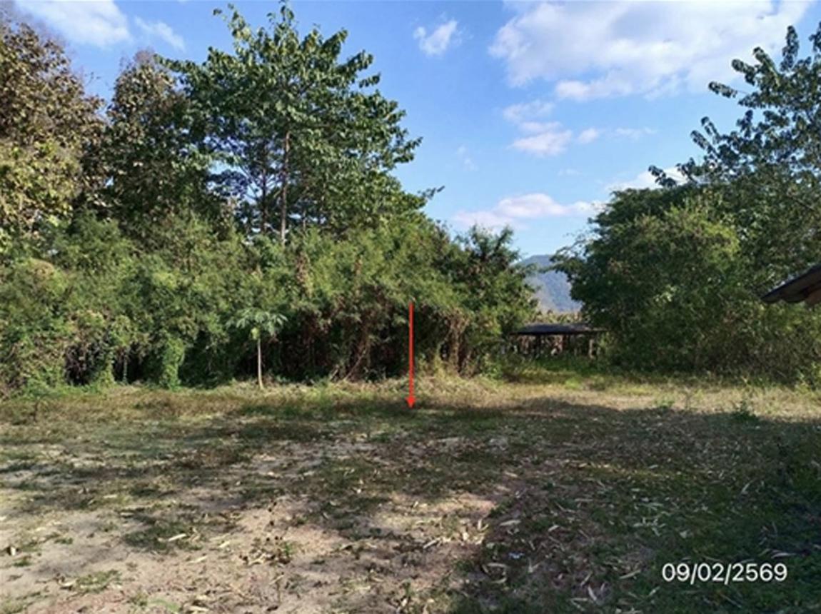 รูป บ้านเดี่ยว 1576 ตร.วา ดอกคำใต้ พะเยา 1.2M - รูปที่ 14/18