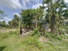 listing thumbnail image 42