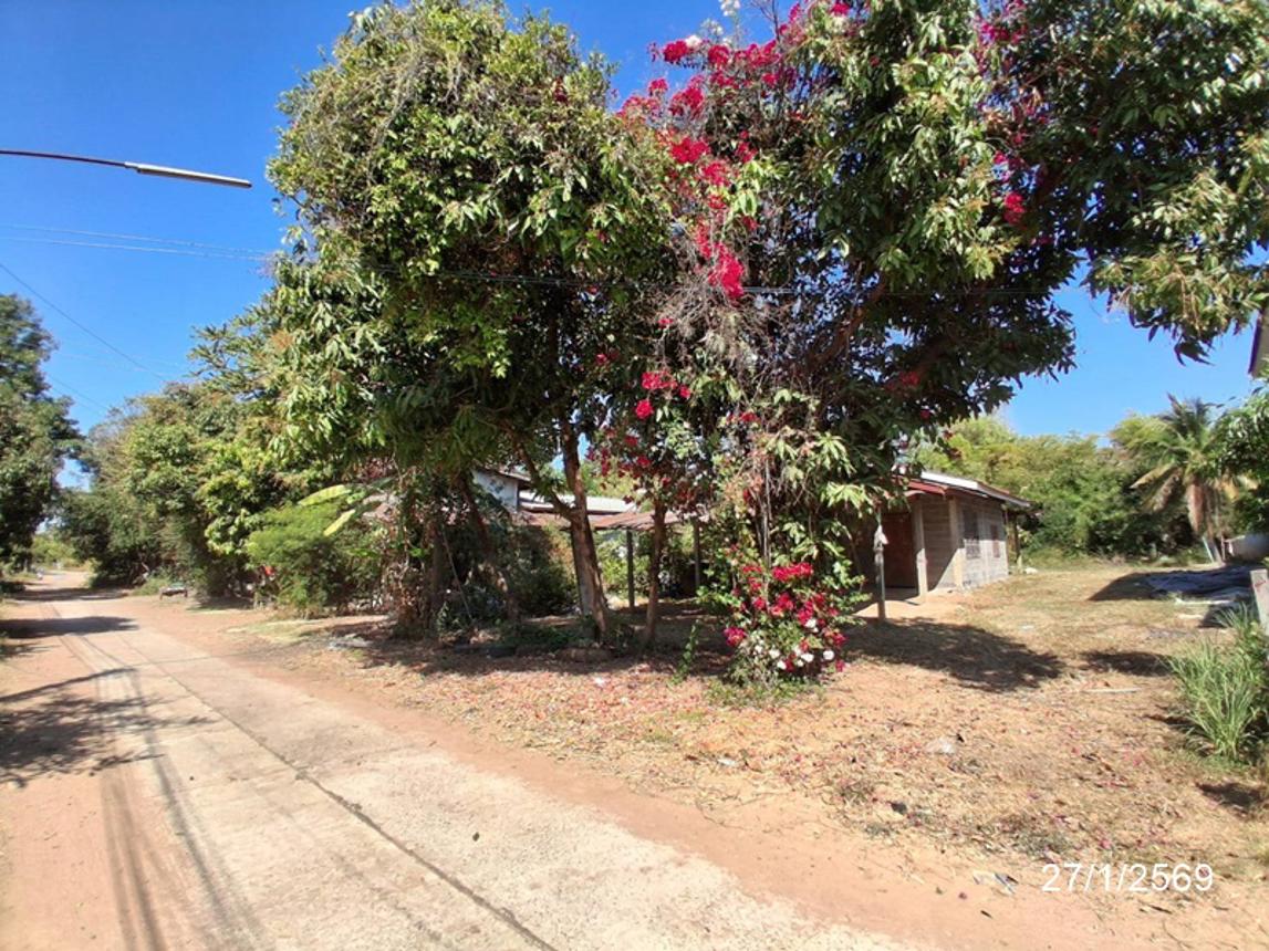 รูป บ้านเดี่ยว 195 ตร.วา เชียงขวัญ ร้อยเอ็ด 763,000 - รูปที่ 20/24