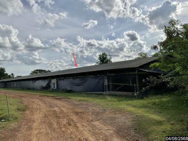 รูป ฟาร์ม 5495 ตร.วา หนองกี่ บุรีรัมย์ 16.6M - รูปที่ 2/24