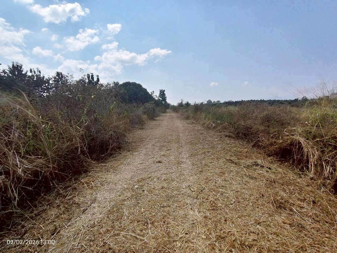 รูป เพิงอเนกประสงค์ 8800 ตร.วา จอมทอง เชียงใหม่ 6.2M - รูปที่ 21/26