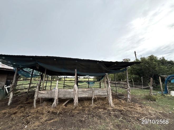 รูป บ้านเดี่ยว 1140 ตร.วา ชุมพลบุรี สุรินทร์ 1.8M - รูปที่ 14/34