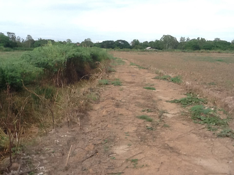 รูป ขายที่ดิน 12 ไร่ครึ่ง ติดปทุมธานี-บางปะหัน ( ทล.347 ) - รูปที่ 2/5